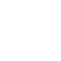 Rising Star Home Care Services logo